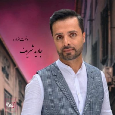 جاوید شریف دخت هزاره